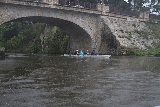 2015-04-26-Aviron_Erdre-427